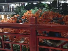 大堂-老山东·山东菜(鲁菜名店)