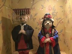 -济州岛泰迪熊博物馆