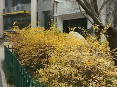 -西安市长乐公园