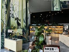 -北京周口店北京人遗址博物馆
