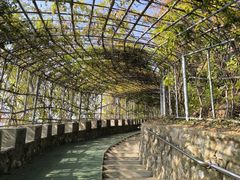 -蓟州溶洞风景区