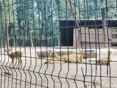 -江苏三台山国家森林公园