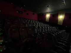 -AMG海上明珠影城(上海环球港RealDCinema店)