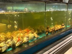 -海天盛宴海鲜自助(正大广场店)