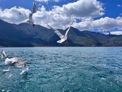 -丽江泸沽湖景区