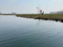 -白洋淀风景区