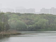 -昆山城市生态森林公园