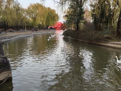 -洛阳市隋唐城遗址植物园