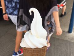 -富豪雪糕车流动点(尖沙咀店)