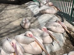 -水上乐园·欢乐世界