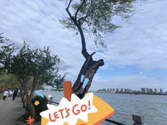 -无锡蠡湖国家湿地公园-蠡园