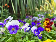 -广州国际生物岛