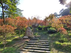 -广州市帽峰山景区