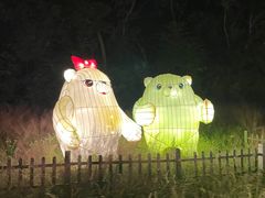 -大塘金香草谷