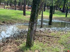 -秦皇岛野生动物园