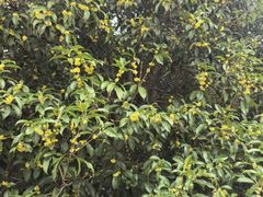 -方山风景区定林寺