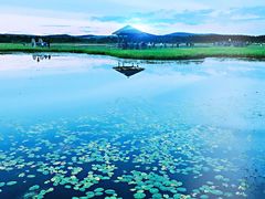 -塞罕坝国家级自然保护区