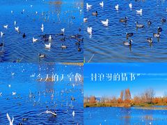 -昆明滇池国家级风景名胜区西山景区