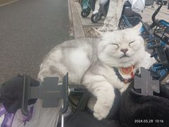 -吴山景区