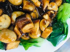 炒双菇-望亭阁(朱家角古镇店)