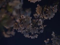 -上海南浦大桥长途旅游客运站