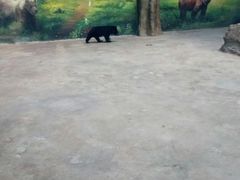 -鄂尔多斯野生动物园