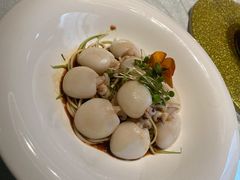 捞汁墨鱼仔-鸽子侯·家宴·平价海鲜(绿地店)
