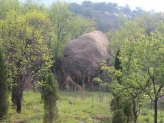 -鲁山国家森林公园