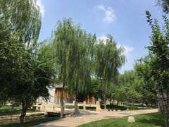 -春风习习