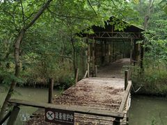 -溱湖国家湿地公园