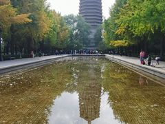 -玲珑塔公园