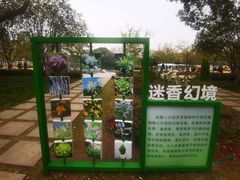 -新江湾城公园