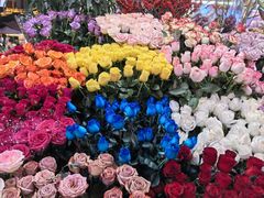 -越秀西湖花市(广州城市广场花卉店)