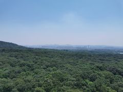 -灵谷景区