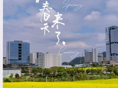 -光明小镇欢乐田园