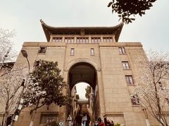 -武汉大学-樱园