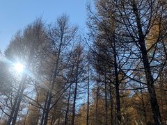 -白草畔自然风景区