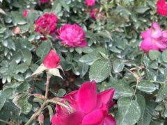 -人民公园(罗湖区)