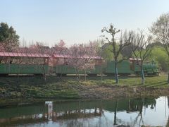 -长田漾湿地公园