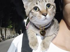 -联合动物医院(光谷诊疗中心)