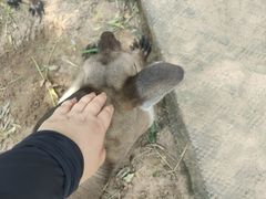 -秦皇岛野生动物园