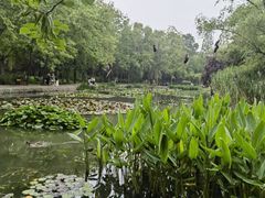 -洛阳市隋唐城遗址植物园