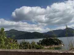 -海南热带雨林国家公园吊罗山景区