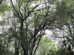 -蜀冈西峰生态公园