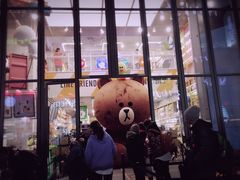 -line friends(明洞旗舰店)