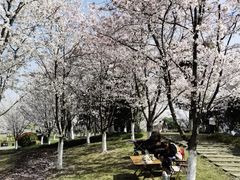 -径山花海