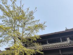 -重庆园博园