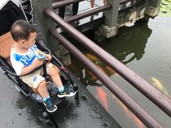 -西湖游船