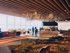 -Seesaw Coffee(朝阳大悦城店)