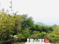 -东莞市大岭山森林公园